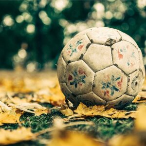 Unge talenter i fokus: Sådan former royal antwerp fc fremtidens stjerner